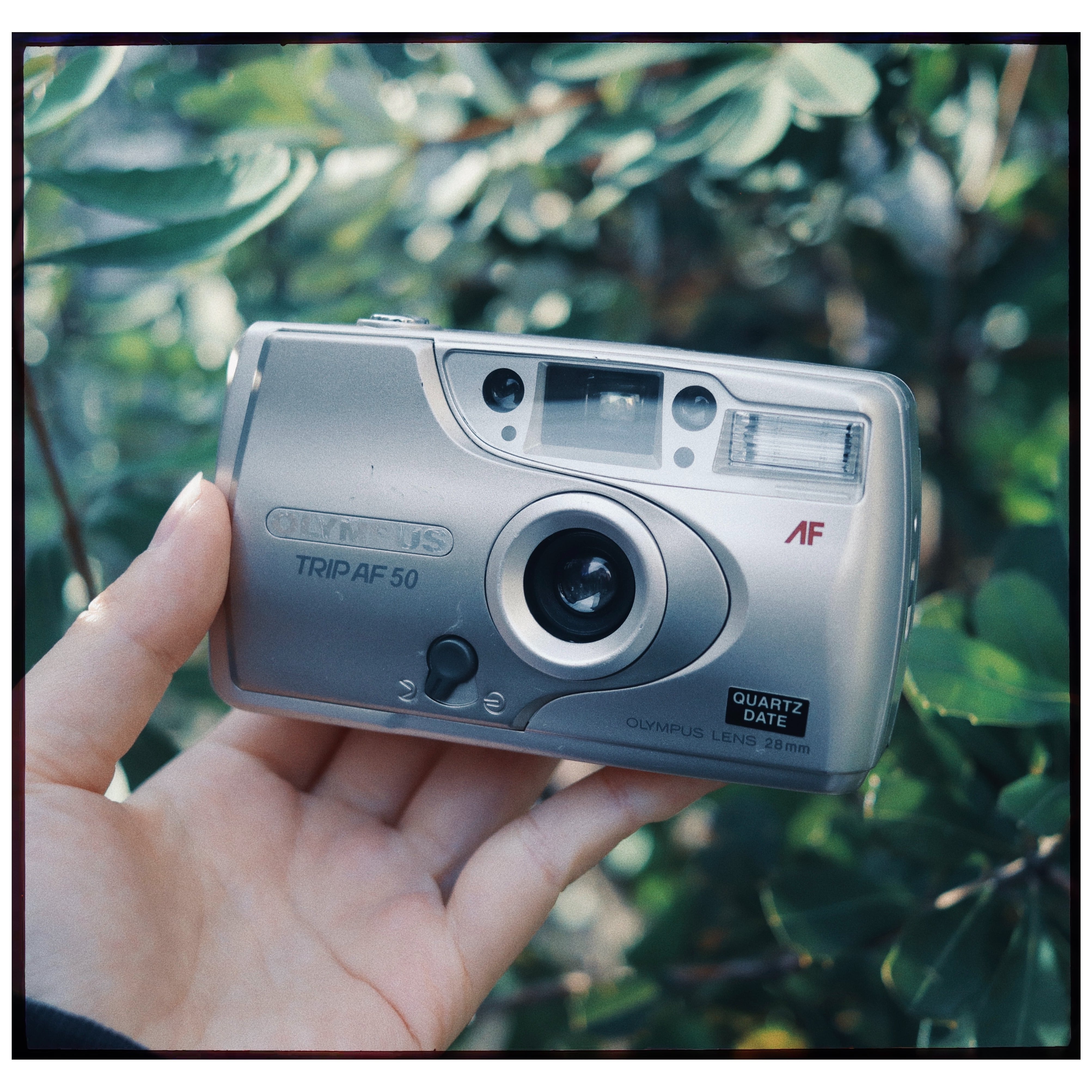 OLYMPUS TRIP AF50 / オリンパス | boromeez camera ◎ ボロミーズ