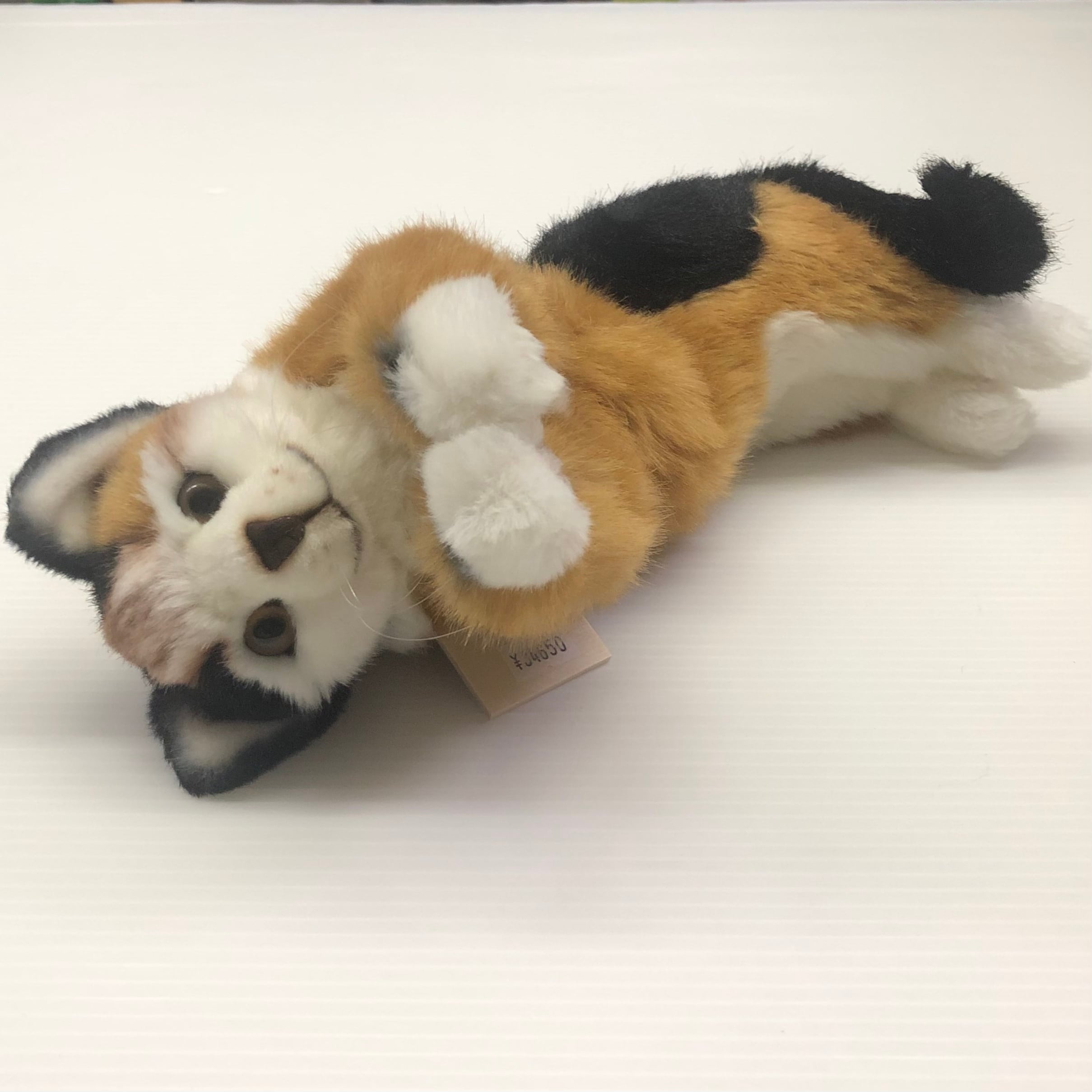 KOSENケーセン社 / 寝そべり猫(小)三毛 | wg-anne