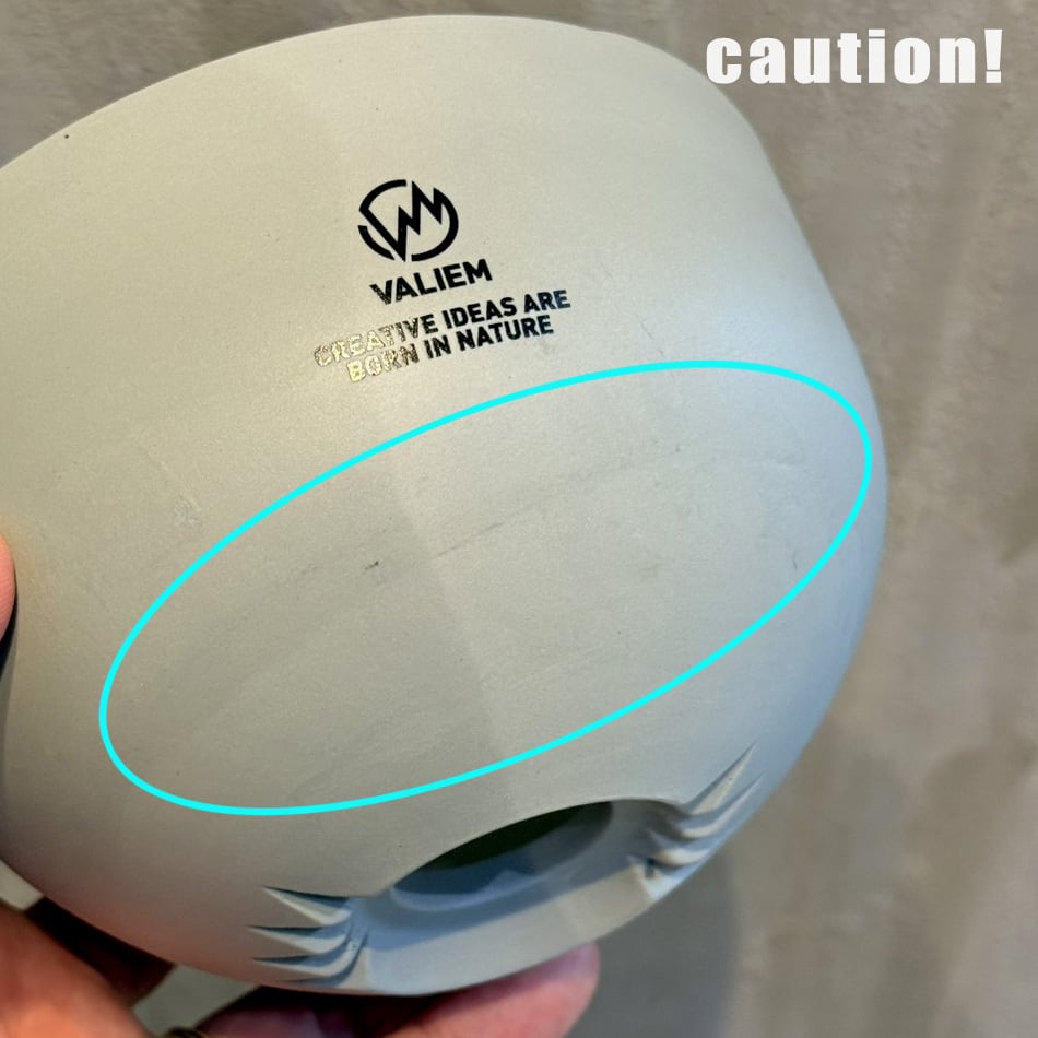 植物鉢】新色！【植物鉢】 Valiem GHOST（BOWL / Lサイズ）単品