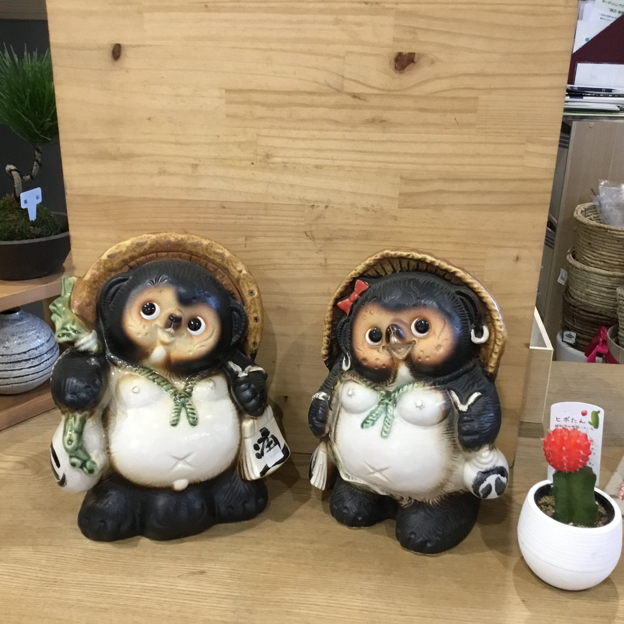 信楽焼たぬき ひねり狸 8号 | 趣味の園芸と陶器山竹