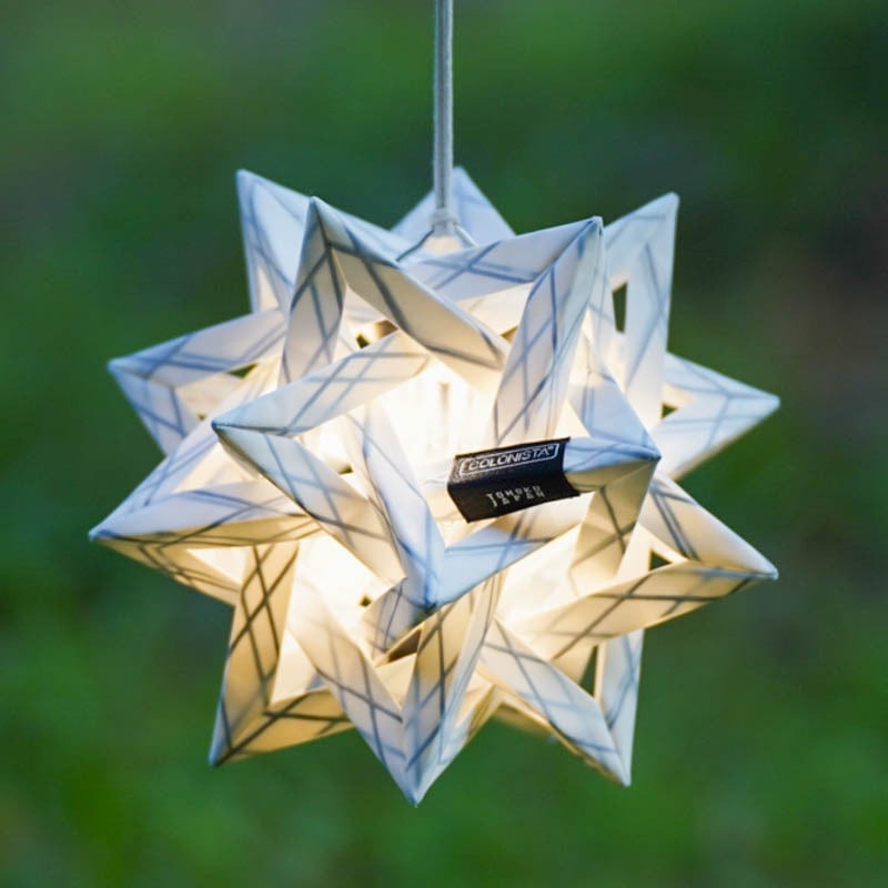 COLONISTA コロニスタ CONPE10 White | GOLDEN FOREST