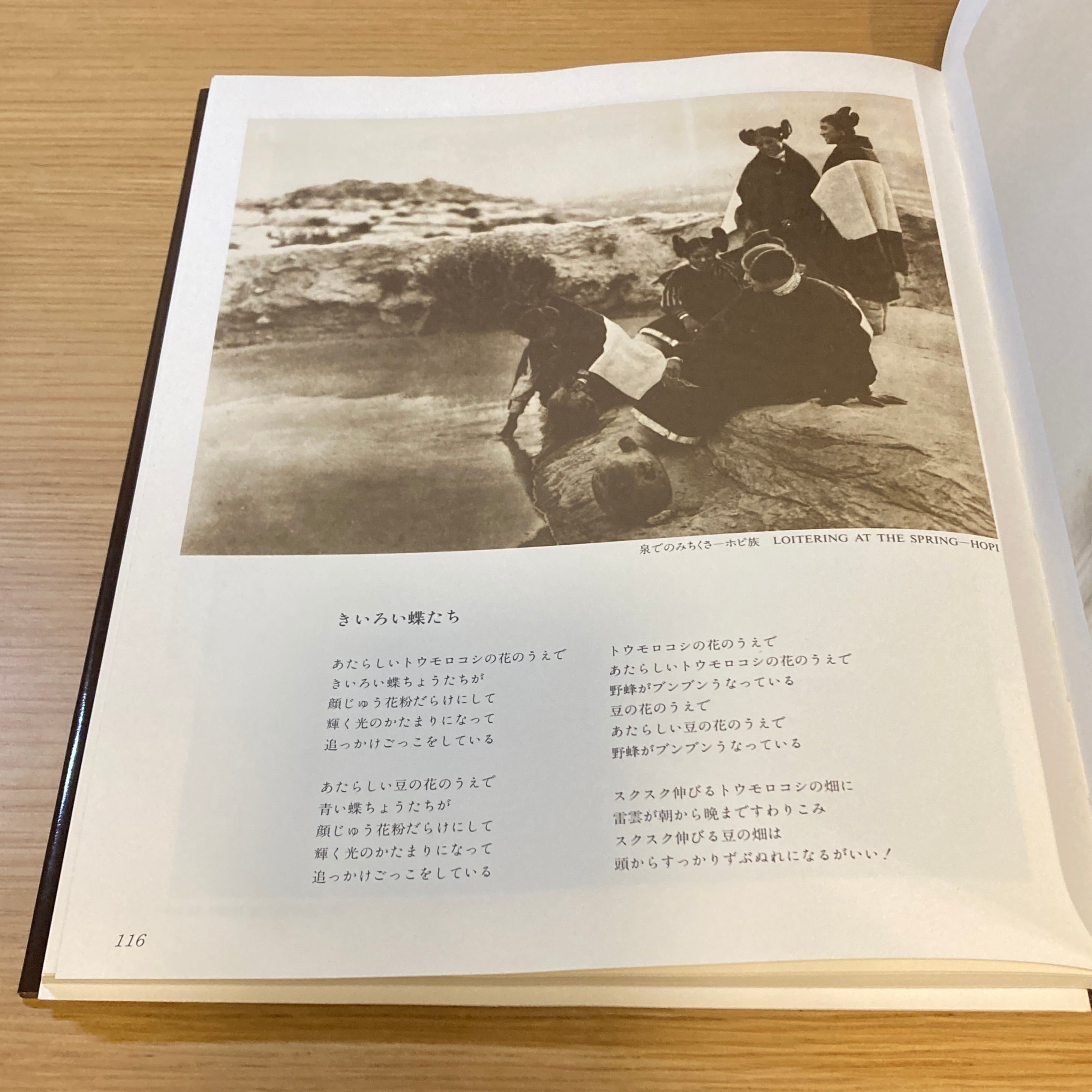 北米インディアン悲詩 1898-1928: エドワード・カーティス写真集 | 百年