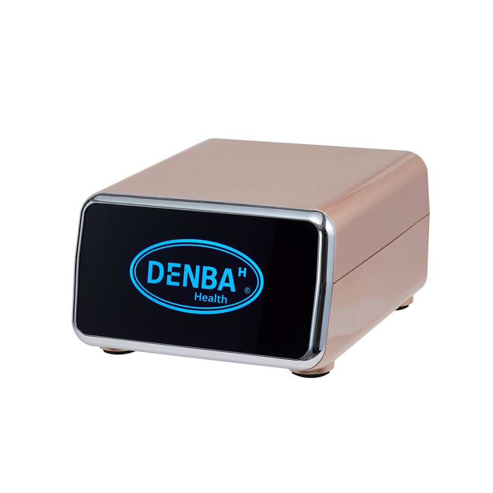 専用】DENBA Health 専用】DENBA Health ZX DENBA HEALTH Charge 商品