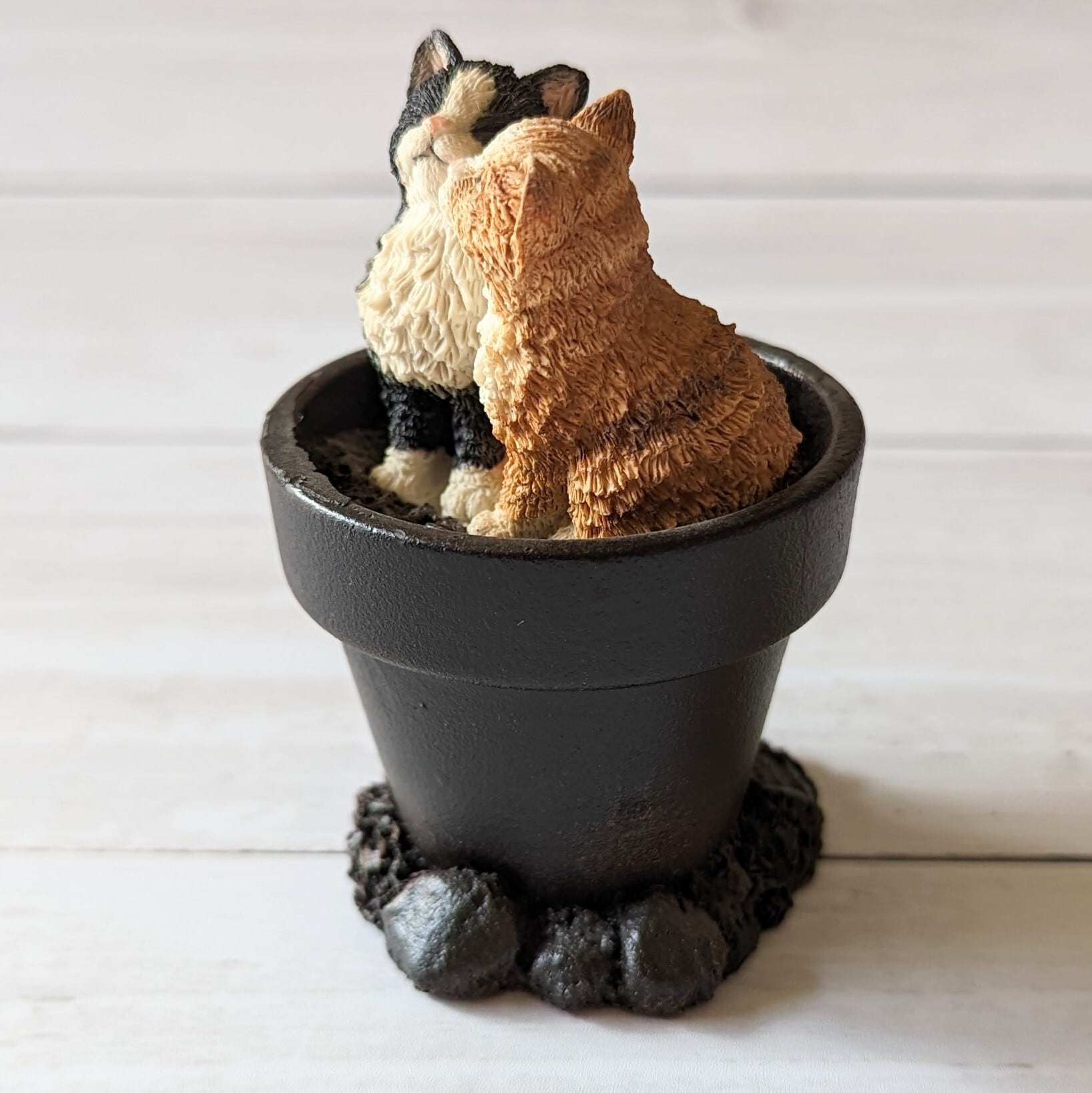 仲良しな2匹の猫【Two Kittens Linking】Bowbrook Studios 41299