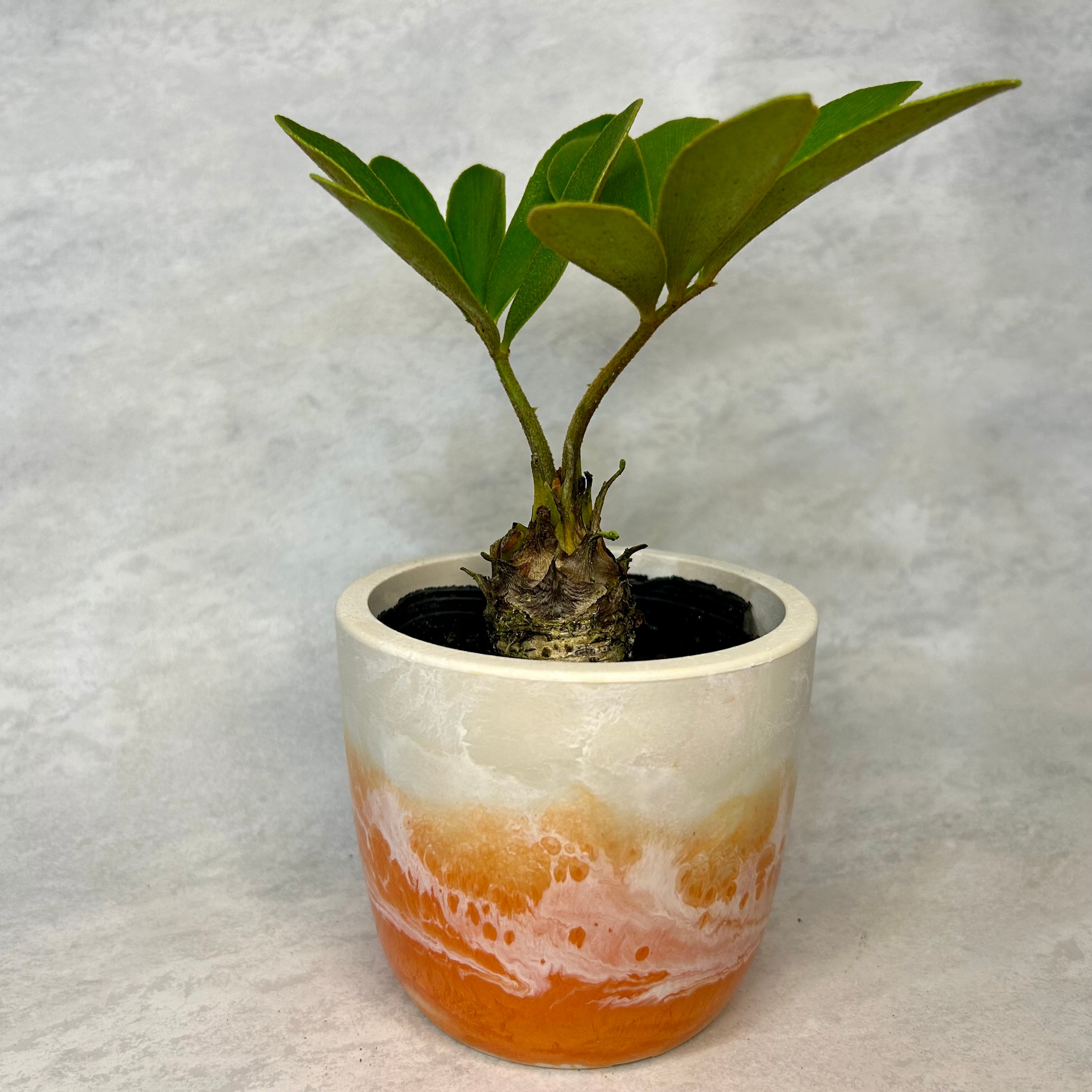 fab925440241133731f6666af021fe