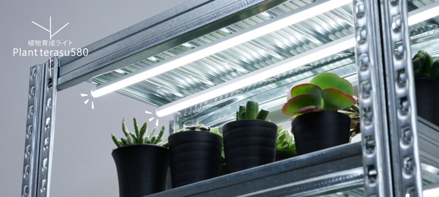 植物育成ライト | TRiTERASU SHOP
