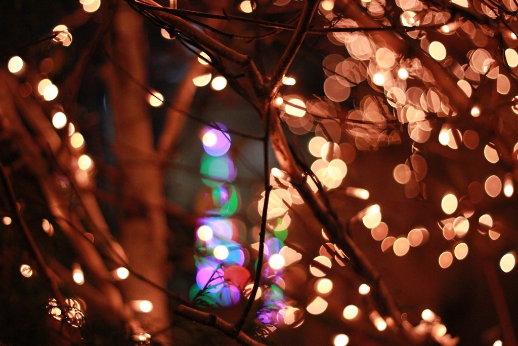 イルミネーション&子供 撮影設定について』 CANON EOS 70D ボディ の