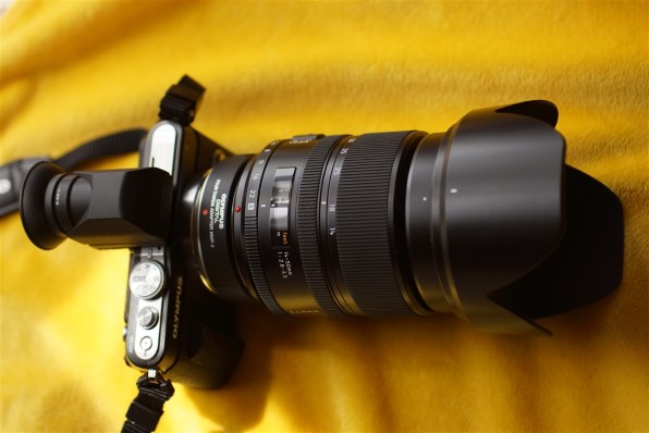 パナソニック LEICA D VARIO-ELMARIT 14-50mm F2.8-3.5 ASPH. L