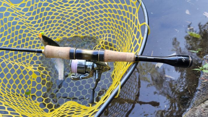 シマノ 16カーディフエリアリミテッドをインプレ！20カーディフエリア