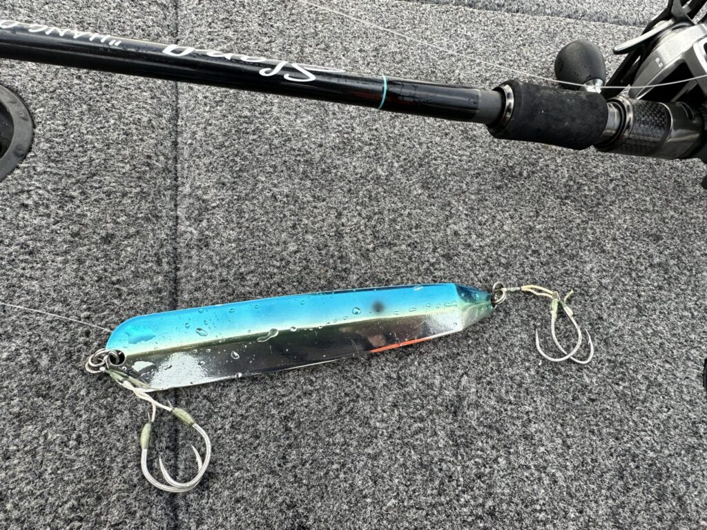 デジーノ スラング/ハングアウトをインプレ | 琵琶湖バスライフ