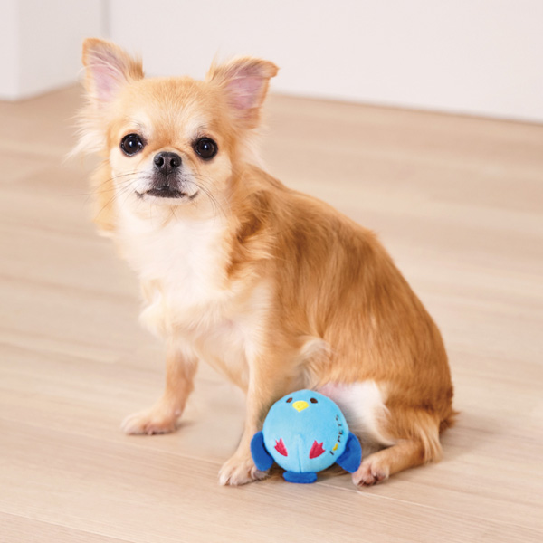 ボンビアルコン オンラインショップ / ノーパンクボール コロコロZOO