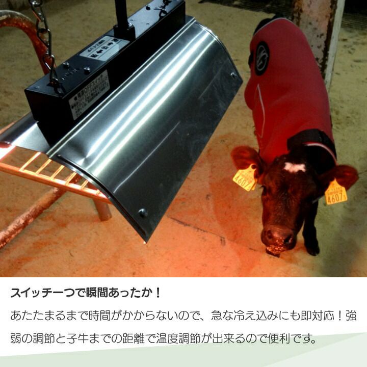 000000016376-03-l.jpg?t=