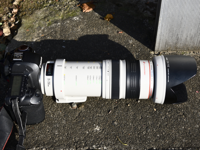 レンズの話題 109本目 【EF35-350mm F3.5-5.6L USM】 - コバルトブルー