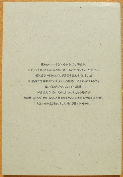 宮川淳 『鏡・空間・イマージュ』 （風の薔薇叢書） | ひとでなしの猫