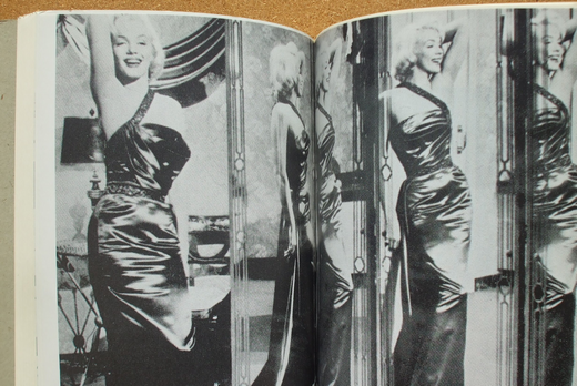 宮川淳 『鏡・空間・イマージュ』 （風の薔薇叢書） | ひとでなしの猫