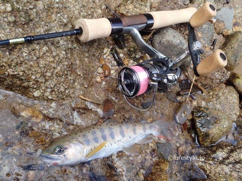 ダイワ 18 カルディア LT1000S-P 実釣インプレ ｜ blog@lurestyle