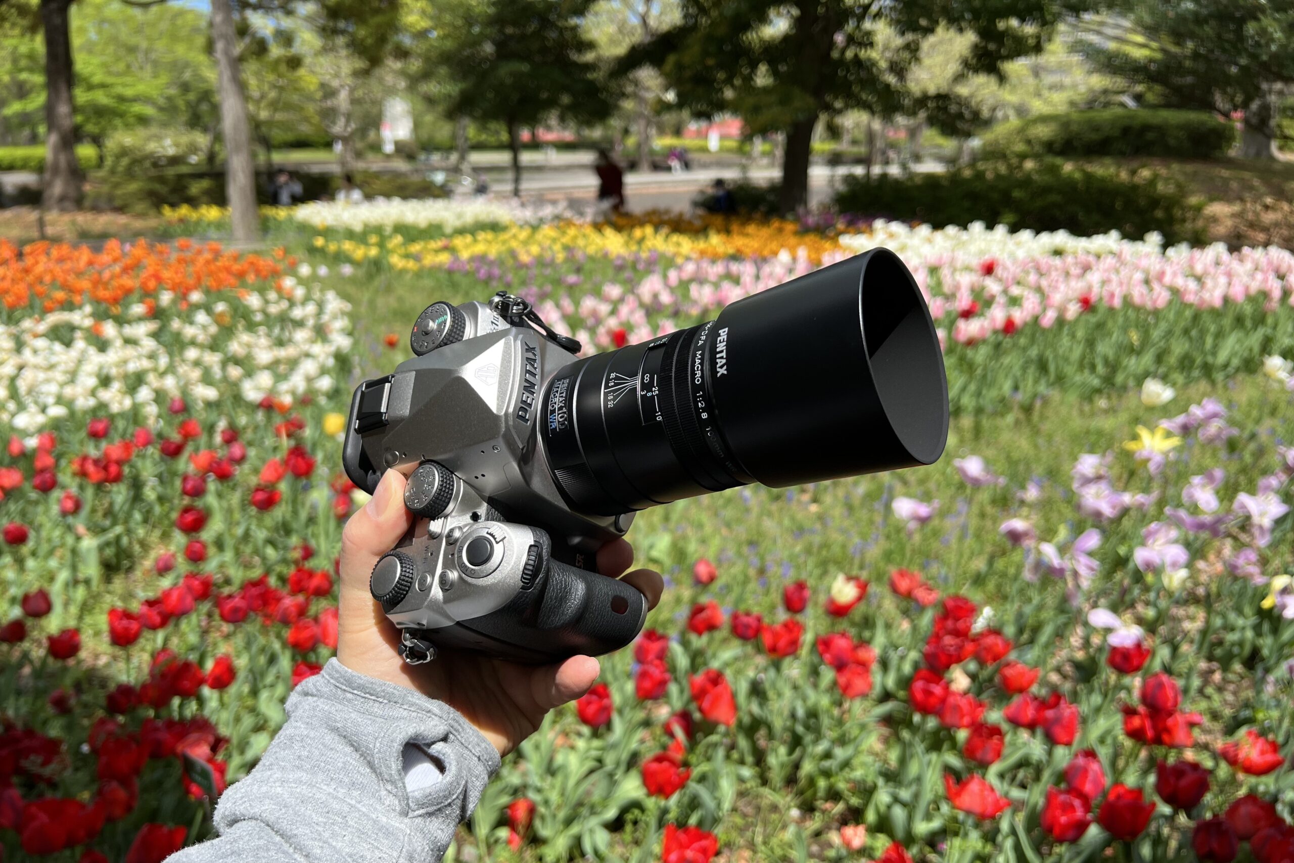 smc PENTAX-D FA MACRO 100mmF2.8 WRでチューリップに迫る – 酔人日月