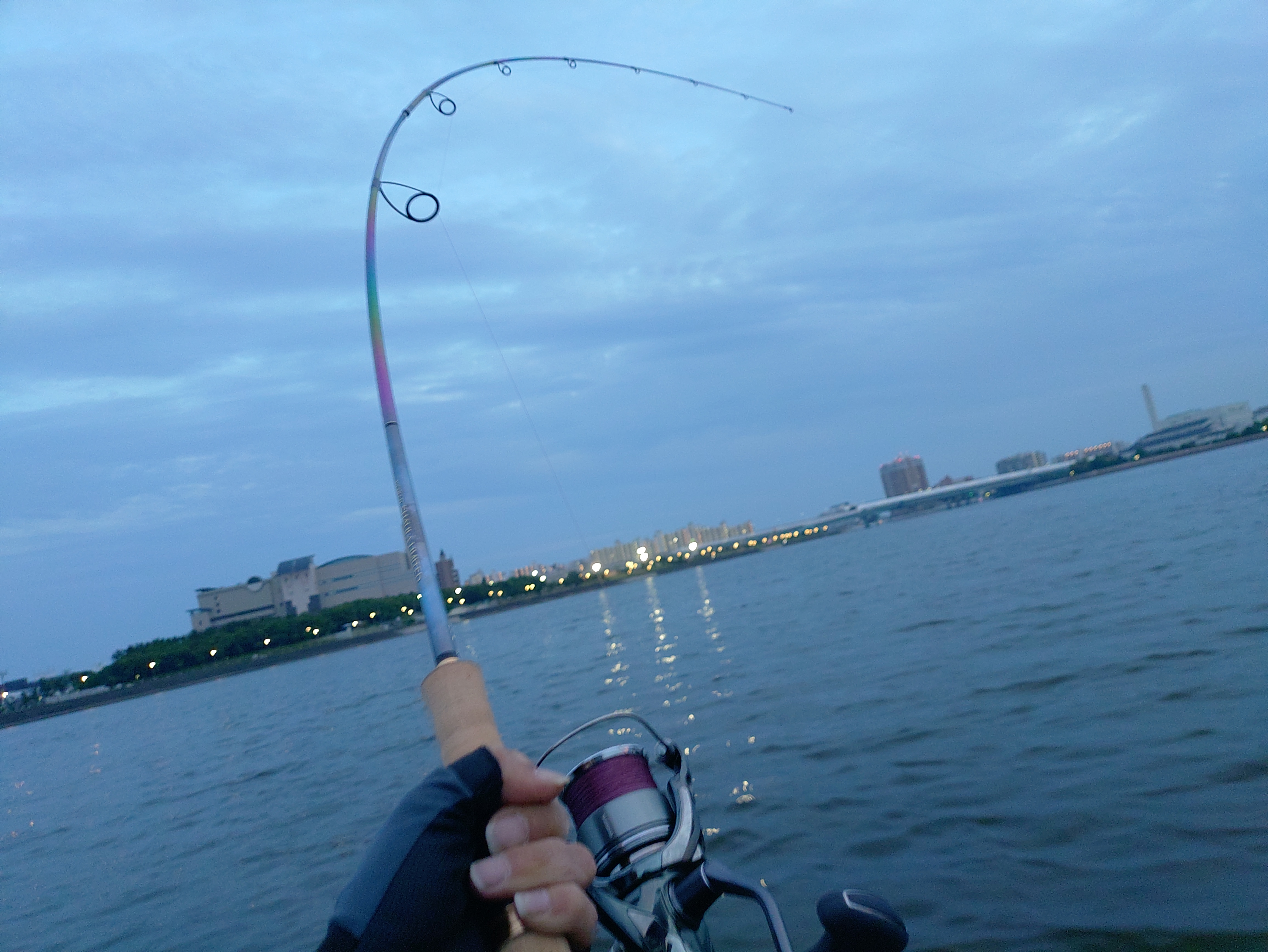 2025年シマノ頂上ロッド、ワールドシャウラリミテッド 2831R-2、届いた