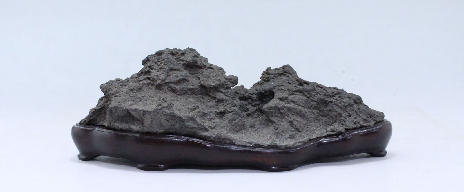 盆栽徒然草: 加茂七石