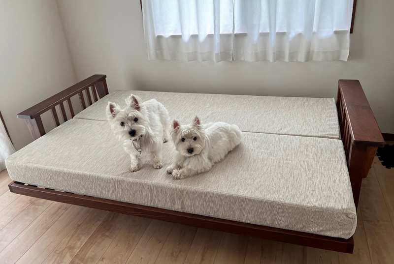 ウレタンクッション、防音材の加工販売｜株式会社ストライダー社: L.L.