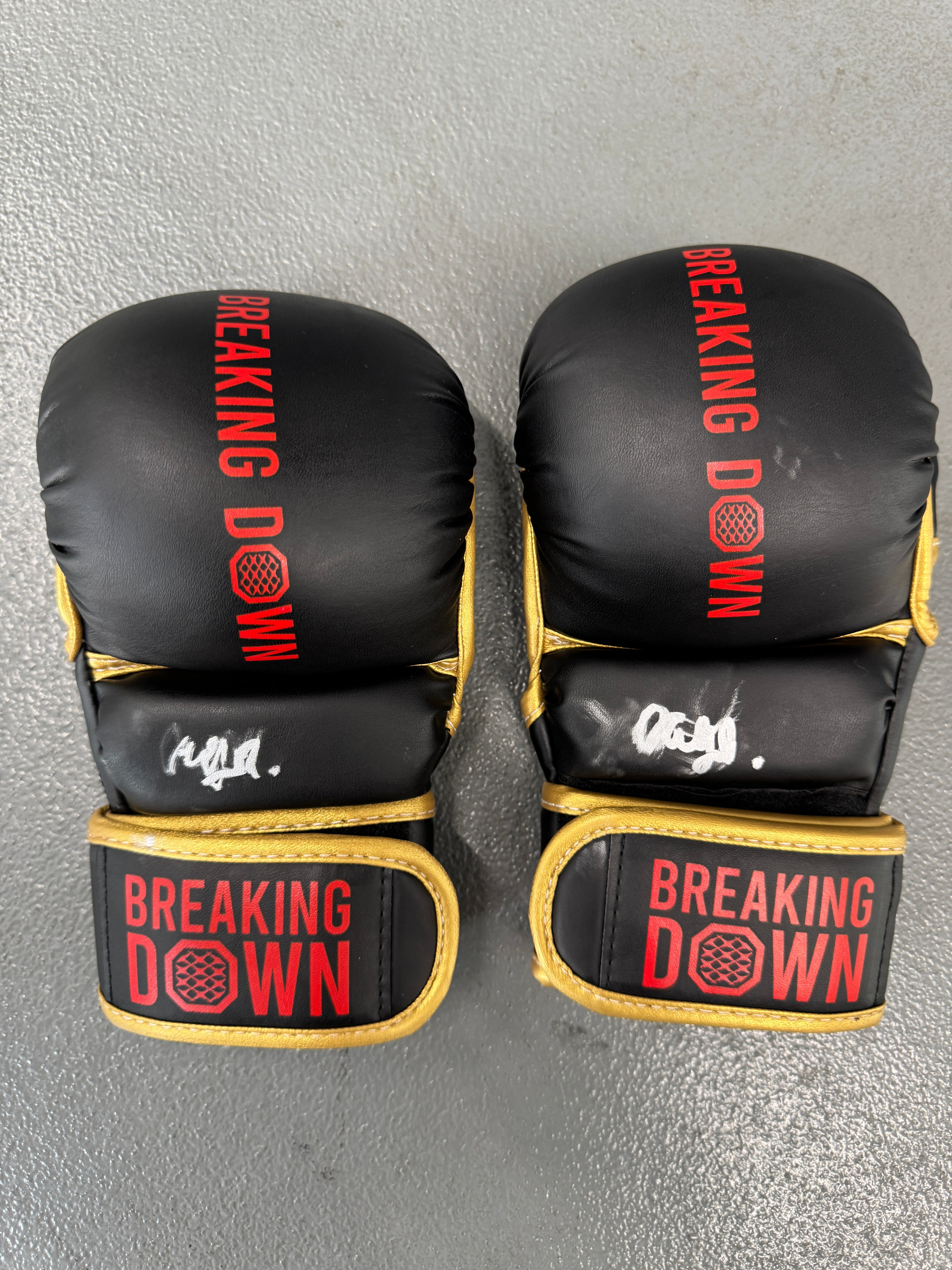 BreakingDown17 ドラゴン選手サイン入りグローブ – BreakingDown