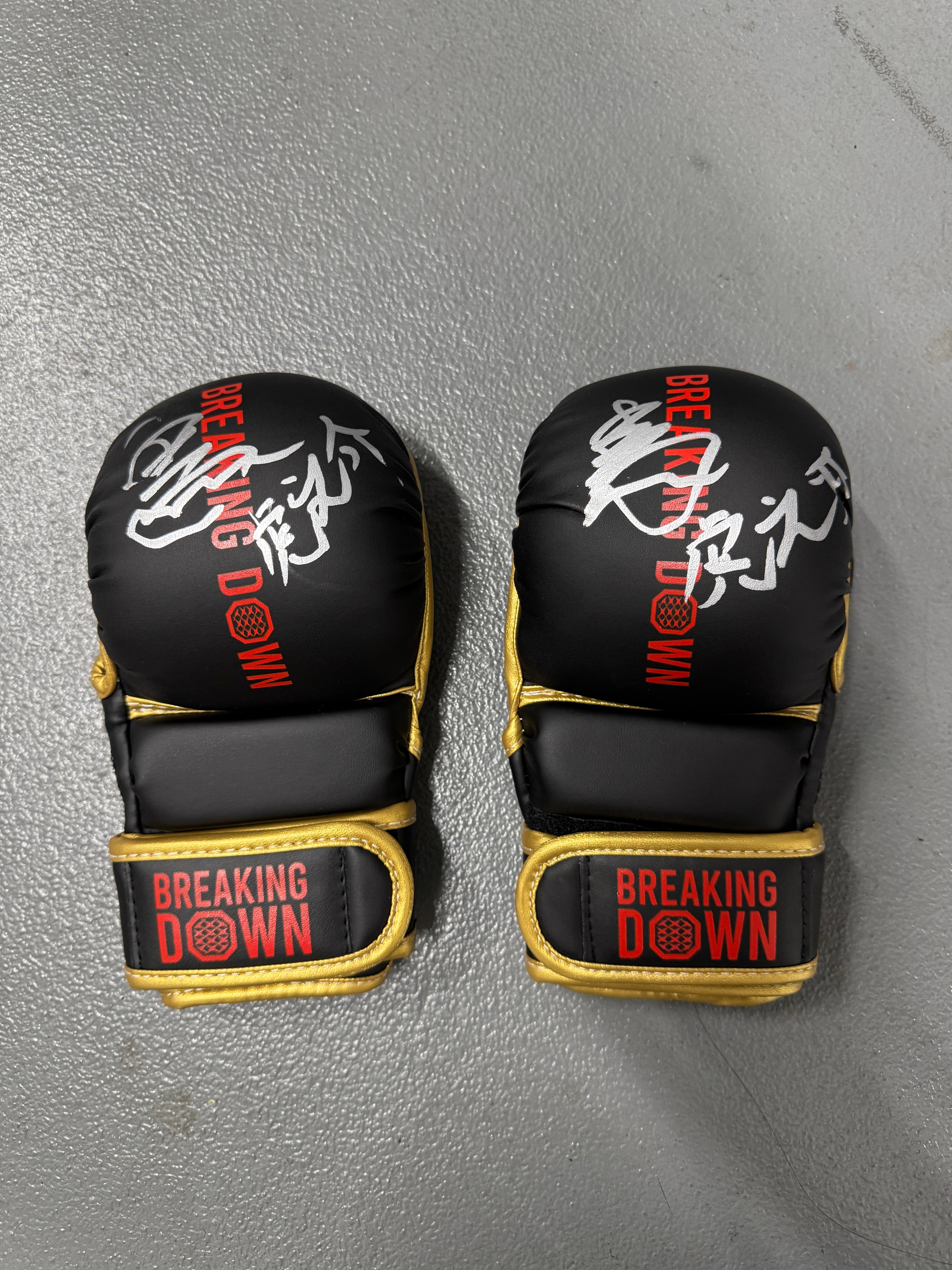 BreakingDown17 虎之介選手サイン入りグローブ – BreakingDown ONLINE SHOP