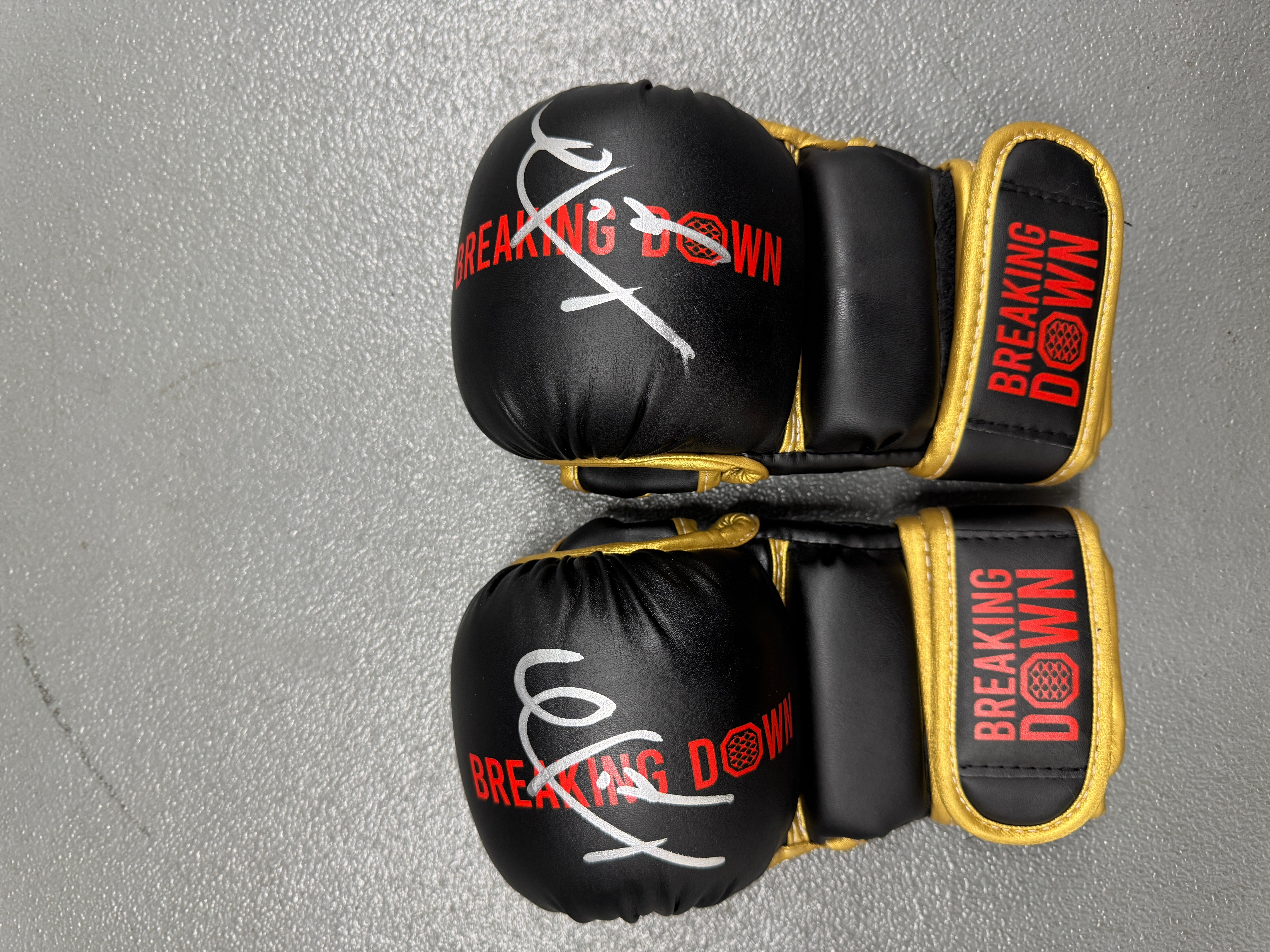 BreakingDown17 竹見浩史郎選手サイン入りグローブ – BreakingDown