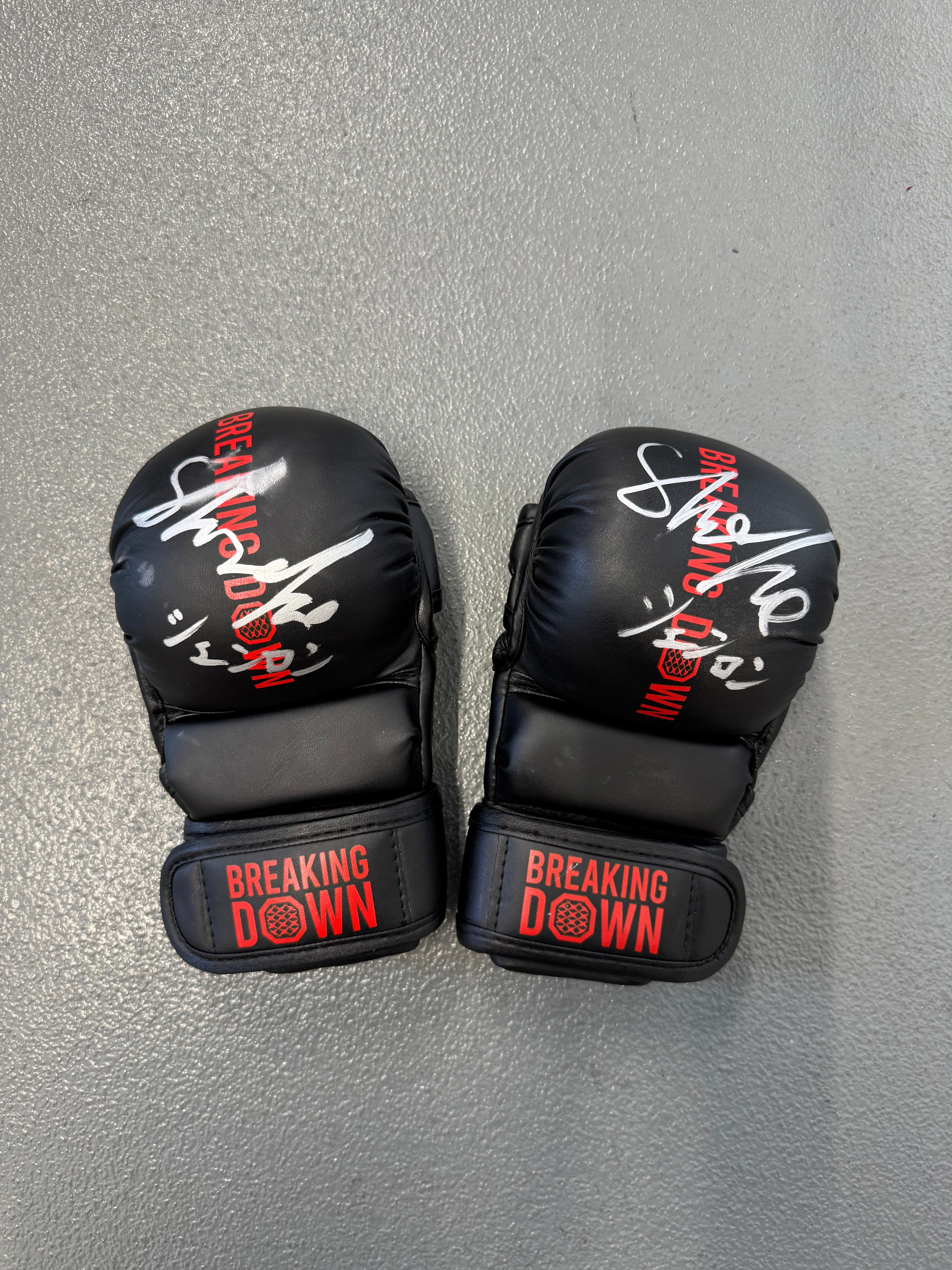 BreakingDown17 シェンロン選手サイン入りグローブ – BreakingDown