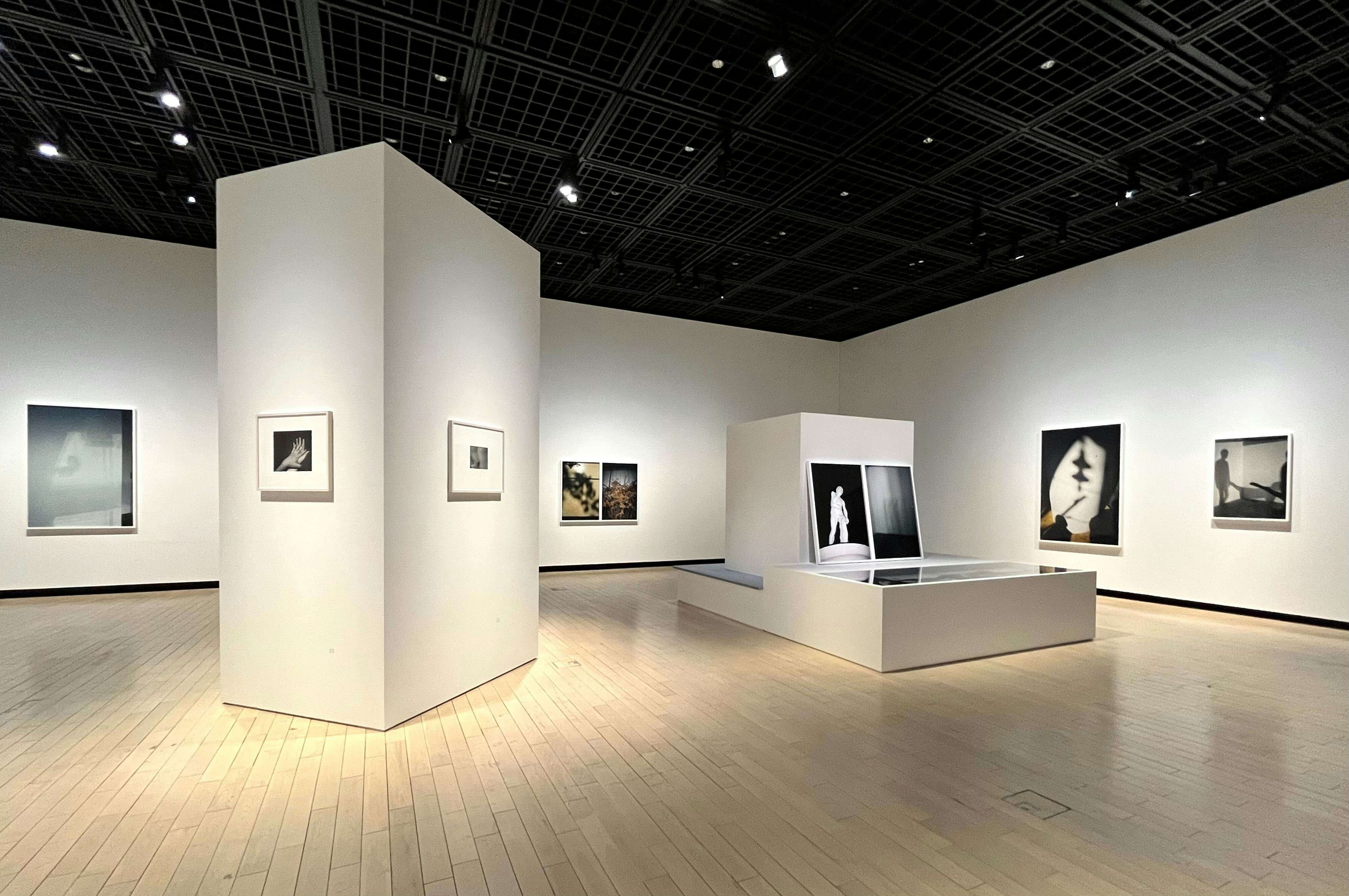 鷹野隆大 カスババ ―この日常を生きのびるために」（東京都写真美術館