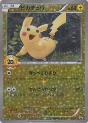 ピカチュウ(XY-P)(illust:Mitsuhiro Arita) | プロモ | ドラゴンスター