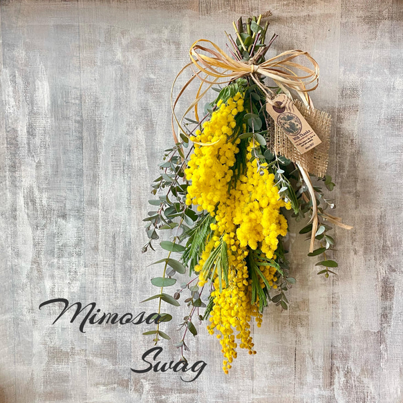 2026年！春先取り ふわふわミモザとユーカリのスワッグ スワッグ 絵