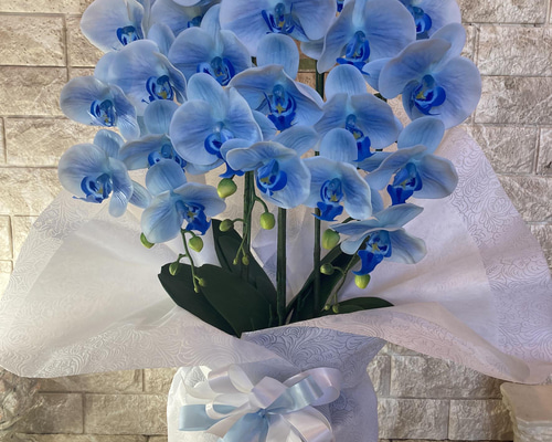 afdf7ec276e9b340a3f49eec040b32