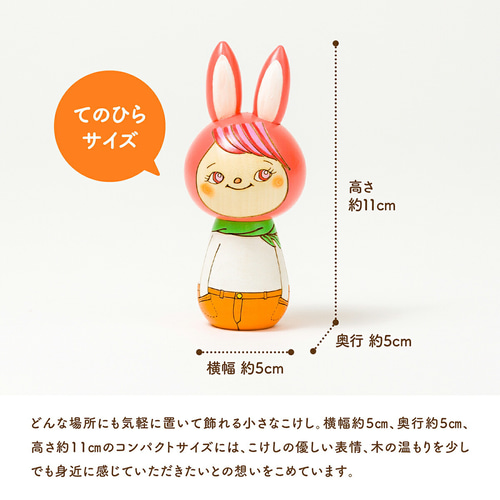 母の日 カーネーション プレゼント お気に入り ～ うさぎ