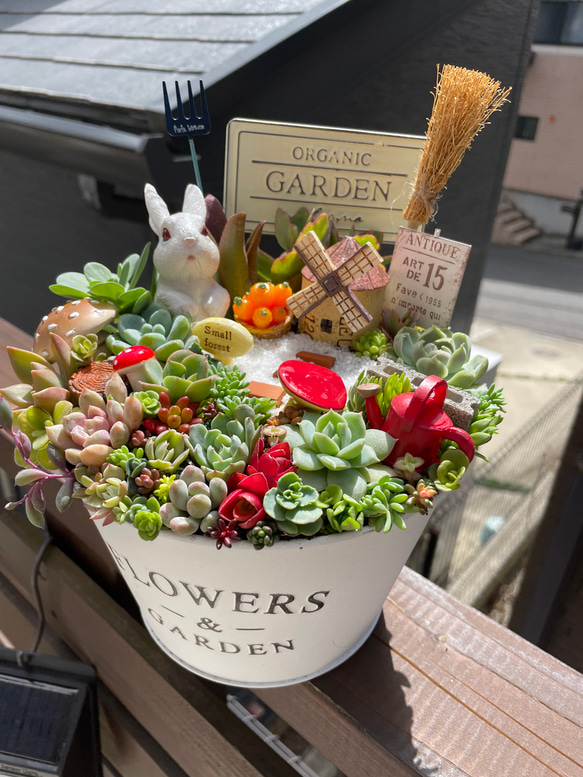 プレゼントにも〜受注制作 大 うさぎちゃん箱庭風多肉植物寄せ植え