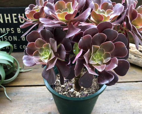 769af05fa18b882b00220211830b94