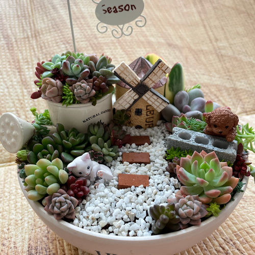 受注制作 円形わんちゃんにゃんこ箱庭風多肉植物寄せ植え 多肉植物