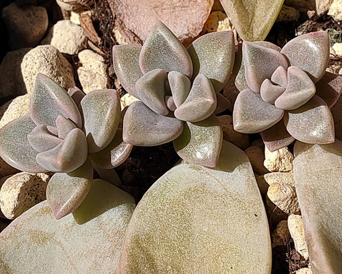 5a61dfddbb3d8d0dc0803df677bb00