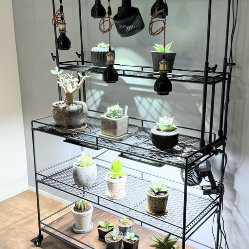 植物棚 ライティングレール ボタニカルシェルフ アイアンシェルフ 植物