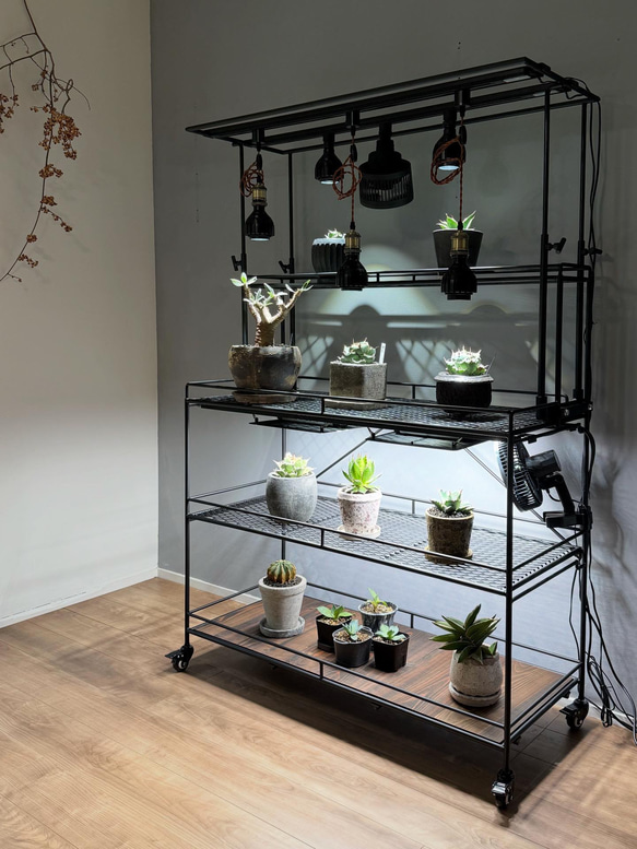 植物棚 ライティングレール ボタニカルシェルフ アイアンシェルフ 植物