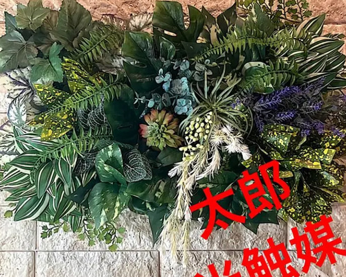 97595de3a88b888ce06ff928e6869a