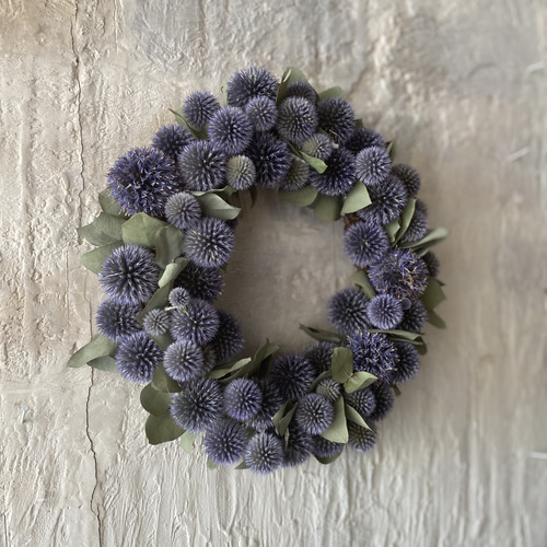 ベッチーズブルーのリース フラワーギフト ドライフラワーリース