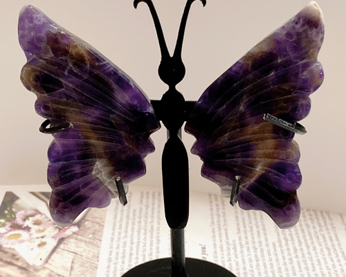 ab497b2472bb41a4b3e2b379fb7955