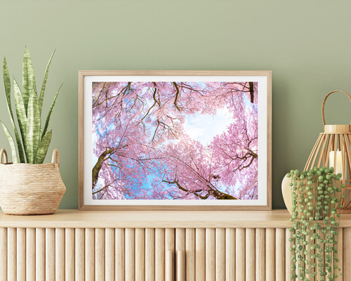 4a98d68ec6161632ff8ef140c52e7d