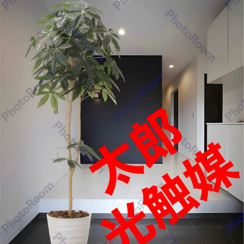 光触媒 人工観葉植物 ウォールグリーン フェイクグリーン デザイン