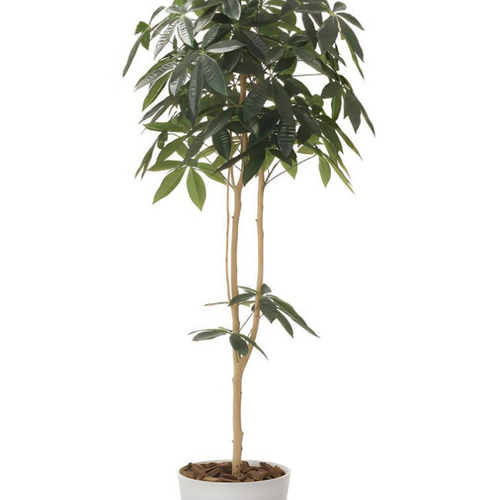 光触媒 人工観葉植物 ウォールグリーン フェイクグリーン デザイン