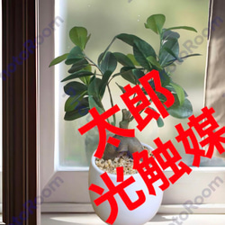 68792576b3c44d483ad860c2bc7fc8