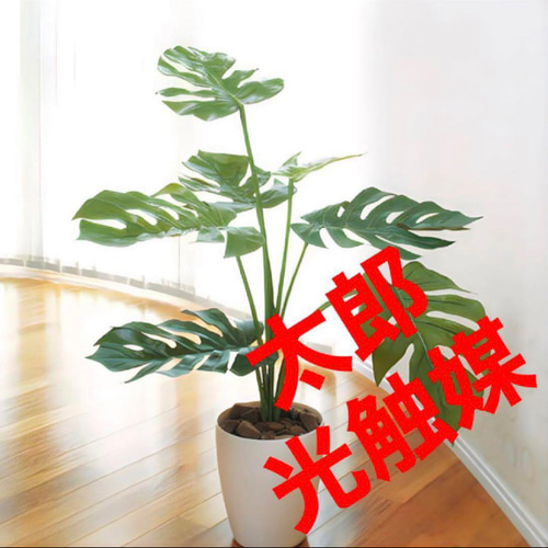 光触媒 人工観葉植物 ウォールグリーン フェイクグリーン モンステラ75