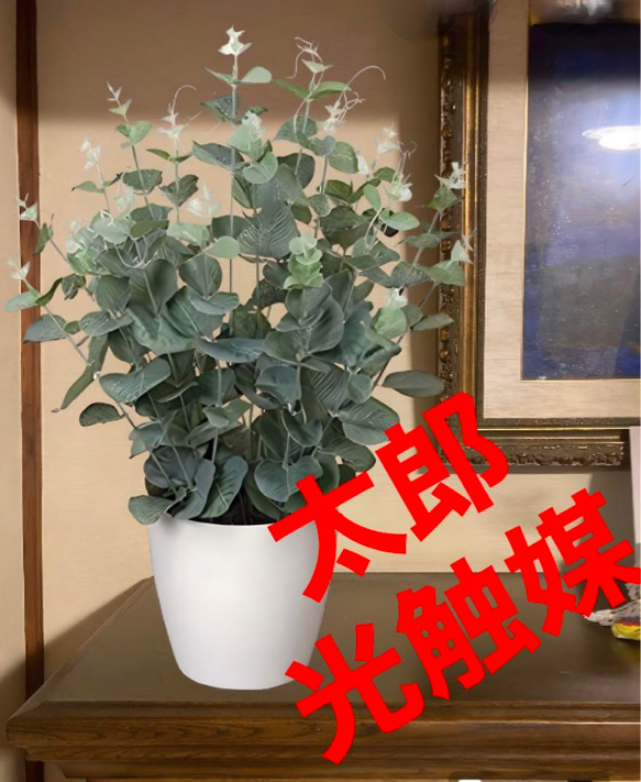 光触媒 人工観葉植物 ウォールグリーン フェイクグリーン ユーカリ高さ