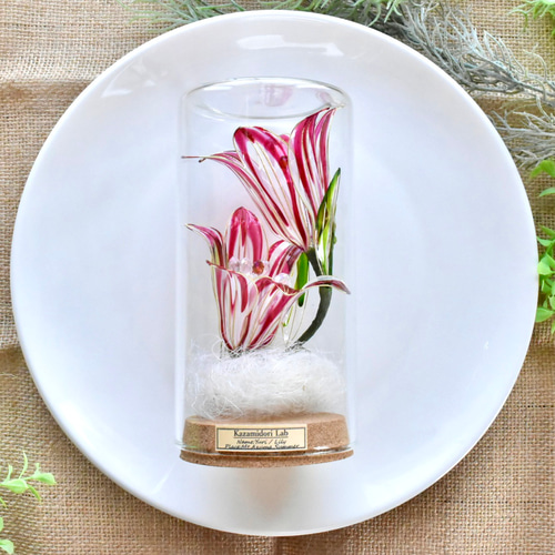 植物標本 XXL】ユリ 赤 ハーバリウム・植物標本 風碧(kazamidori) 通販