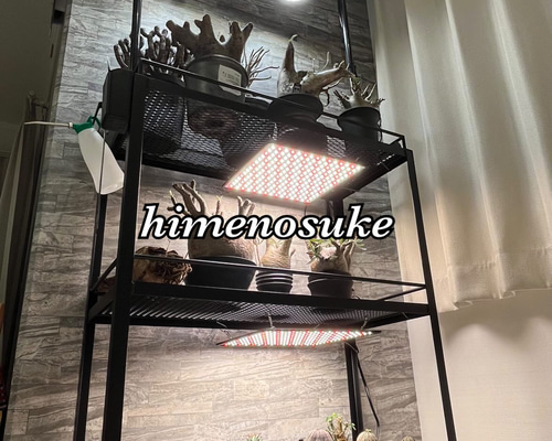 d078a20afe8ad5f1c427b01dbc7c39